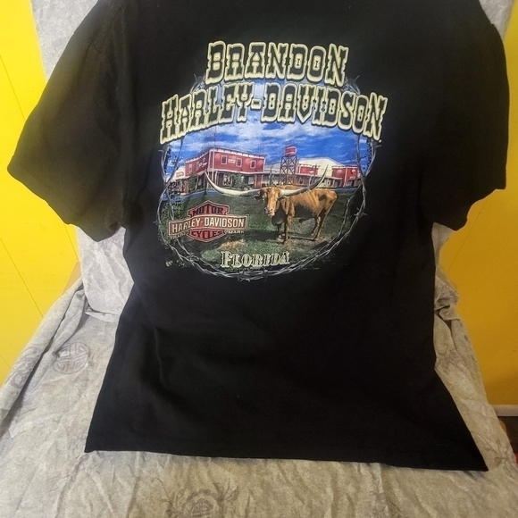 Men's brandon harley davidson t shirt ( L ) - Picture 2 of 3